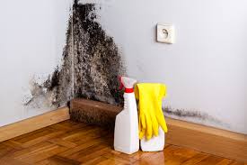 Why You Should Choose Our Mold Remediation Services in Middletown, DE